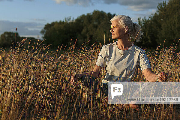 Mature woman with grey hair sitting amidst plants at sunset