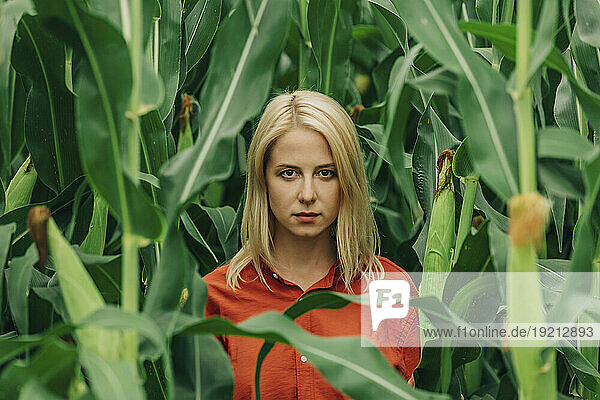 Woman with blond hair amidst corn plants