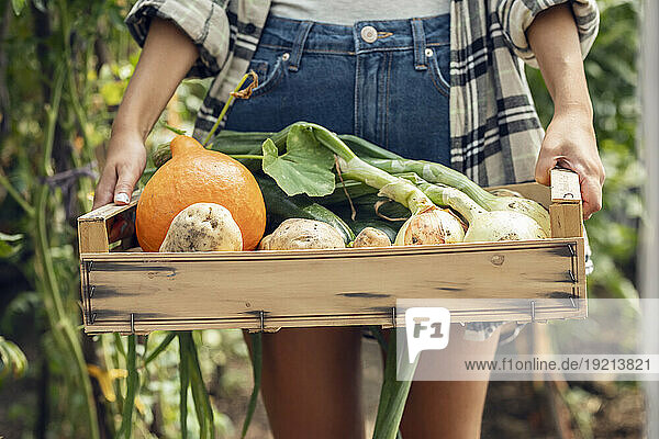 Young farm worker with freshly harvested vegetables in wooden crate at greenhouse