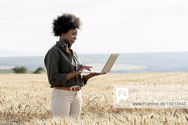 Afro farm worker using laptop amidst barley crops in field