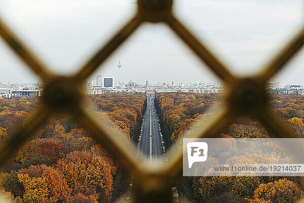 Germany  Berlin  Highway surrounded by autumn park trees seen from Victory Column