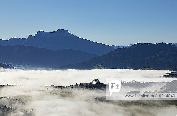 Austria  Upper Austria  Valley shrouded in thick fog with Schafberg mountain in background