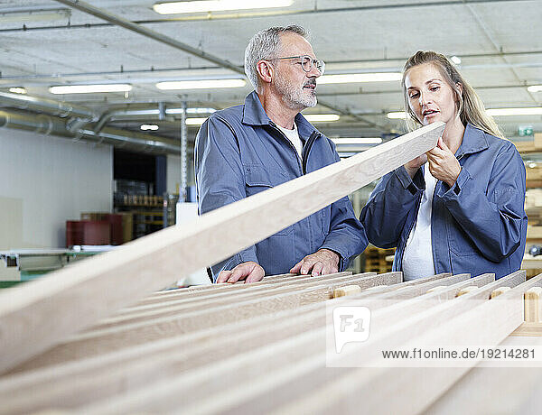 Carpenters examining plank at factory