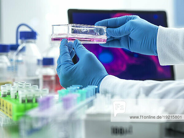 Wissenschaftler experimentieren mit Zellen im Labor