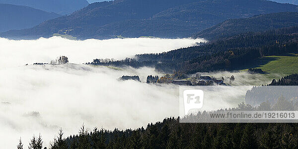 Austria  Upper Austria  Oberwang  Valley shrouded in thick fog