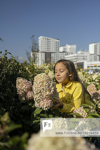 Girl smelling hydrangea flowers in park on sunny day