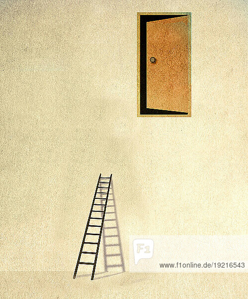 Short ladder under door high in wall