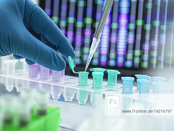 Scientist pipetting DNA sample into eppendorf tube