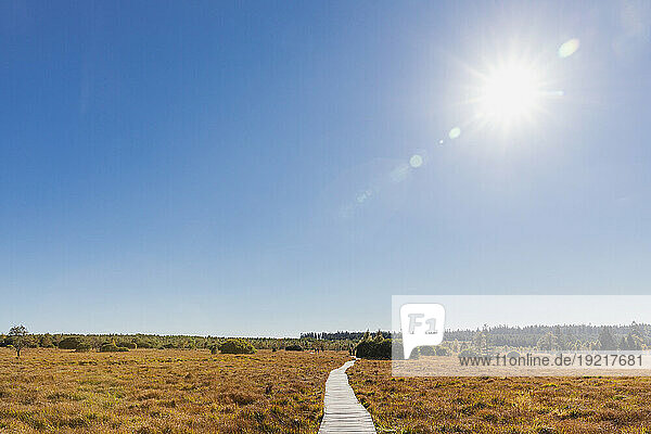 Belgium  Liege Province  Sun shining over boardwalk stretching across moor in High Fens - Eifel Nature Park