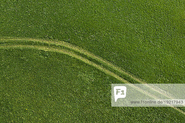 Austria  Salzburger Land  Tire tracks stretching through green meadow