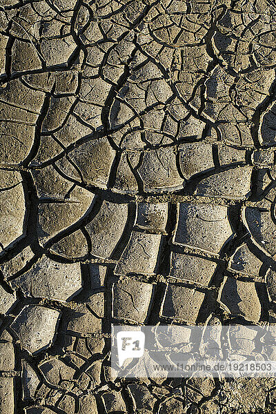 mud cracked by drought  09/2022.