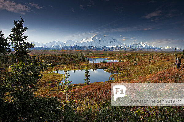 Male Hiker Photographs Mt. Mckinley In The Morning Near Two Kettle Ponds In The Fall Tundra In Denali National Park  Near The Wonder Lake Campground  Interior Alaska  Fall