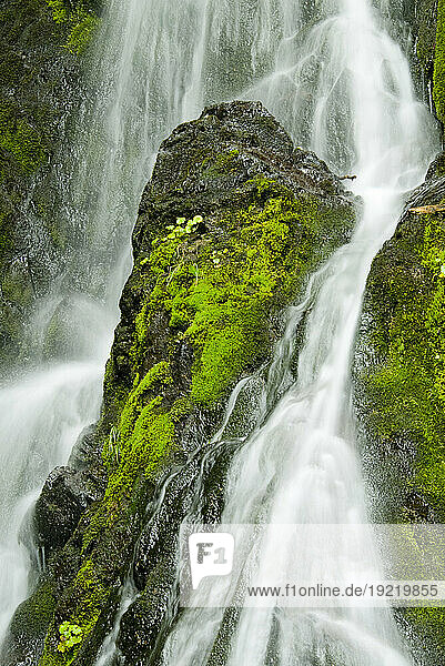 Waterfall Flows Over Green Foliage And Rock Outcrop  Cordova  Southcentral Alaska  Summer