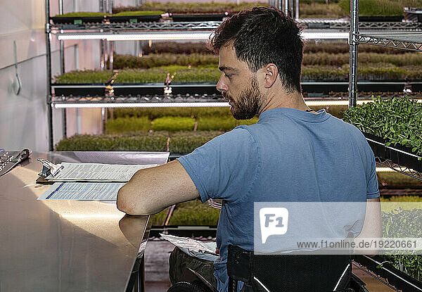 Man in a wheelchair doing paperwork at a microgreens urban farm; Edmonton  Alberta  Canada