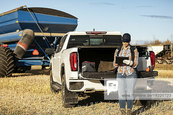 A farmer leaning on the tailgate of a half-ton truck and using a portable wireless device to manage and monitor a fall  canola harvest with a semi-trailer grain hauler in the background; Alcomdale  Alberta  Canada