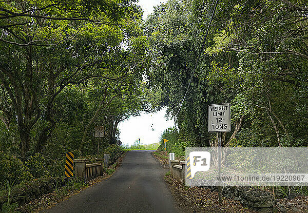 View through narrow roadway crossing a small bridge through the forest on the Road to Hana  scenic route; Maui  Hawaii  United States of America