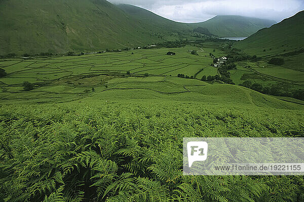 View from a fern-covered hillside of a valley north of Scafell Pike; England