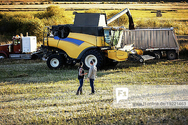 A farm couple standing in a field using a portable  wireless device to manage and monitor the yield during their fall  canola harvest  looking back at combine harvester offloading into a semi-trailer grain hauler; Alcomdale  Alberta  Canada