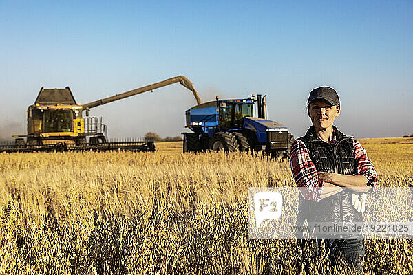 Portrait of a mature farm woman standing in a grain field  posing for the camera during harvest with a combine offloading a mixed crop to a grain buggy in the background at sunset; Alcomdale  Alberta  Canada