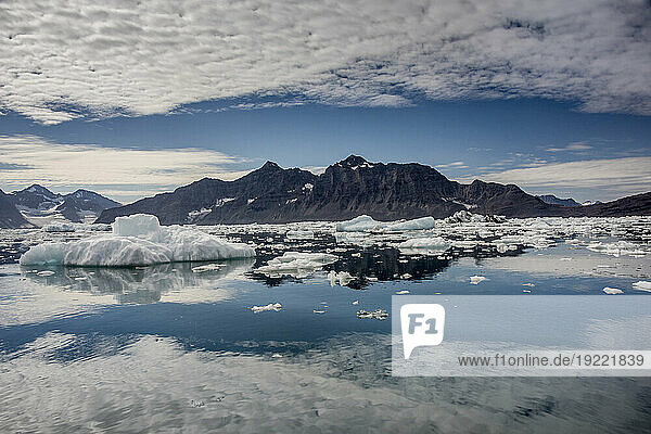 Jagged mountain peaks and white clouds reflected in the the calm waters in Nansen Fjord with icebergs and growlers floating in the foreground at the point where the fjord's glacier enters the water; East Greenland  Greenland