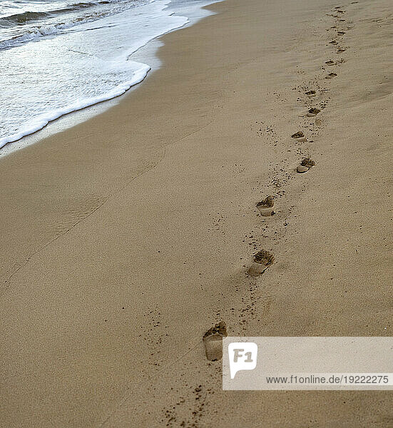 Close-up of human footprints along the shoreline of Kamaole 2 Beach next to the foamy surf at the water's edge; Kihei  Maui  Hawaii  United States of America