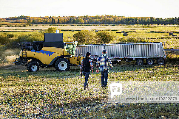 View taken from behind of a farm couple walking towards a combine harvester offloading into a semi-trailer grain hauler  using a portable  wireless device to manage and monitor the yield during their fall  canola harvest; Alcomdale  Alberta  Canada