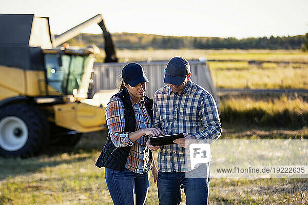 A farm couple using a portable  wireless device to manage and monitor the yield during their fall  canola harvest  standing in front of a combine harvester offloading into a semi-trailer grain hauler; Alcomdale  Alberta  Canada