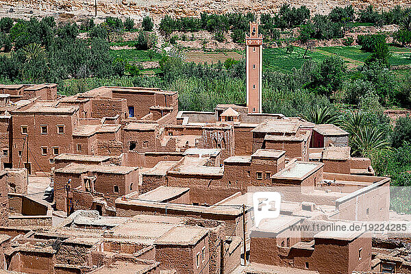 Ancient buildings of a Berber village framed by palm tree groves  Ounila Valley  Atlas mountains  Ouarzazate province  Morocco  North Africa  Africa