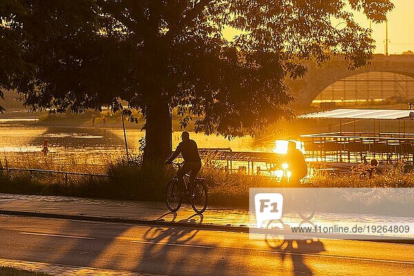 Radfahrer auf dem Elberadweg im Licht der untergehenden Sonne