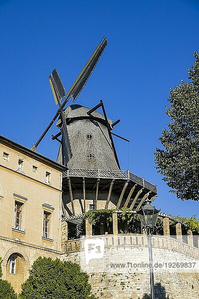 Park Sanssouci gehört zu dem Ensemble der Potsdamer Schlossparks. Historische Mühle von Sanssouci  Restaurierte Windmühle aus dem 18. Jh. mit Exponaten zur Müllerei auf 3 Ebenen und Ausblick von der Galerie