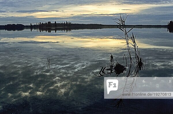 Abendstimmung am Astotinsee  Evening mood at Lake Astotin  Elk Island Nationalpark  Kanada  Nordamerika