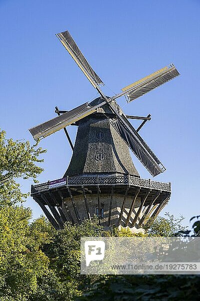 Park Sanssouci gehört zu dem Ensemble der Potsdamer Schlossparks. Historische Mühle von Sanssouci  Restaurierte Windmühle aus dem 18. Jh. mit Exponaten zur Müllerei auf 3 Ebenen und Ausblick von der Galerie