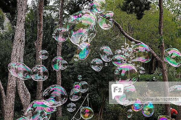 Viele regenbogenfarbene Seifenblasen in einem Park