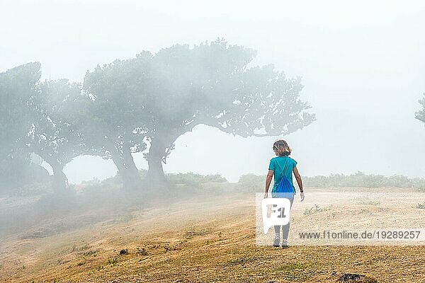 Fanal Wald mit Nebel in Madeira  junger Tourist in Lorbeerbäumen spazieren  geheimnisvoll. Portugal