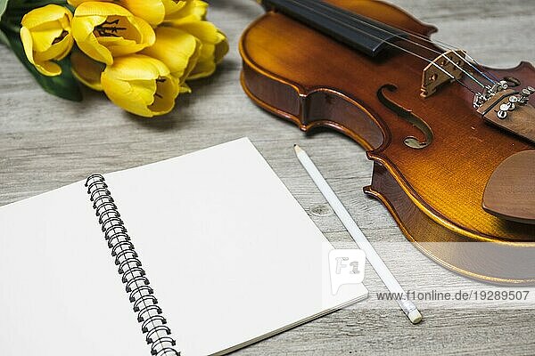 Open blank notebook pencil tulip classic violin plank backdrop