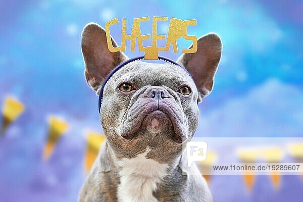 Party Französische Bulldogge mit Stirnband mit Worten Cheers vor goldener Girlande auf blauem Hintergrund