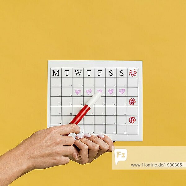 Vorderansicht Menstruationskalender mit Herzen Blumen