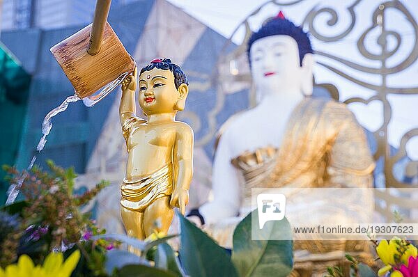 Baden einer goldenen Statue des Buddha. Das Baden von Buddhastatuen ist eine traditionelle Wunschzeremonie im Buddhismus an Buddhas Geburtstag