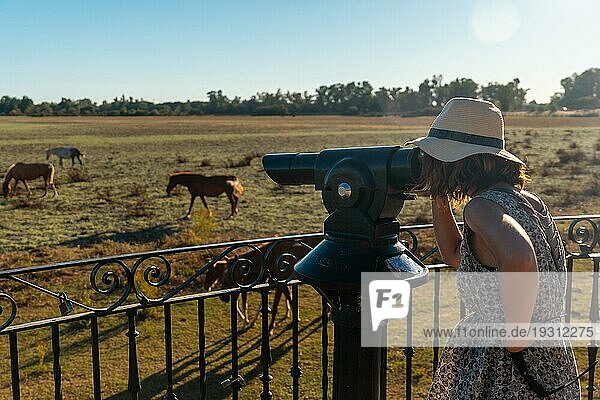 Ein junger Tourist mit einem Fernglas betrachtet die weidenden Pferde im Doñana Park  Santuario del Rocio
