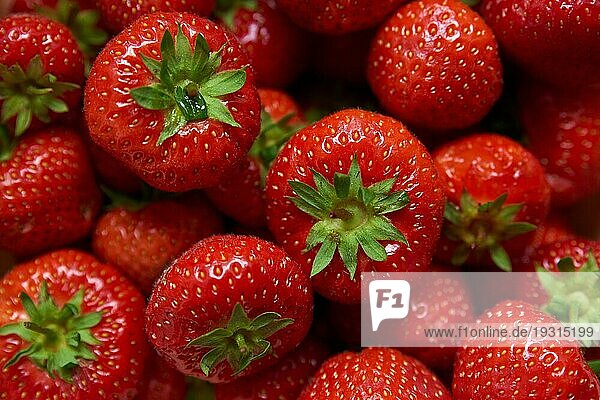 Gruppe von roten Erdbeeren