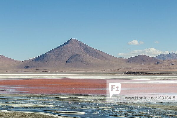 Foto der wunderschönen Laguna Colorada im Südwesten von Bolivien