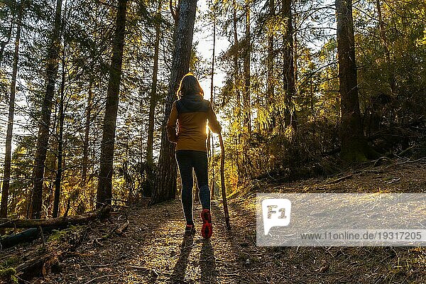 Eine junge Frau  die bei Sonnenuntergang durch den schönen Wald spaziert  während die Sonne ihr zugewandt ist. Artikutza Wald in Oiartzun  Gipuzkoa. Baskenland