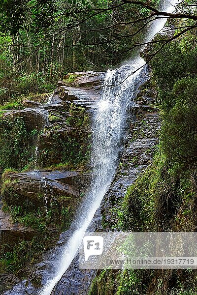 Wasserfall und Felsen inmitten der dichten Regenwaldvegetation in Minas Gerais  Brasilien  Südamerika