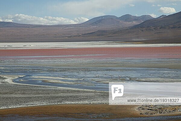Laguna Colorada  Bollivia  November 02  2015: Blick über die farbenfrohe Laguna Colorada in der Andenregion