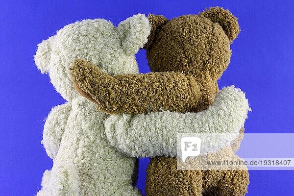 Teddy-Paar Arm in Arm