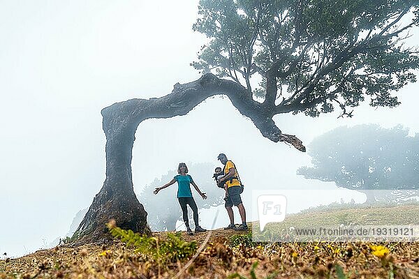 Fanalwald mit Nebel auf Madeira  eine Familie mit ihrem Baby unter einem Lorbeerbaum  mystisch  geheimnisvoll
