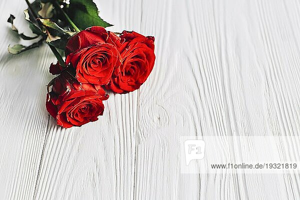 Rote Rosen weißer Hintergrund