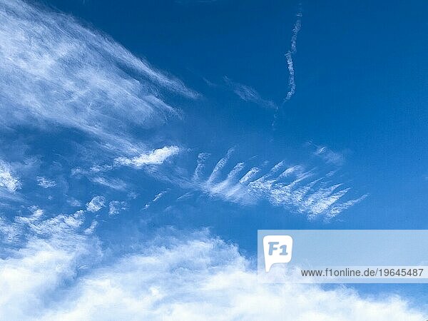 Weiße Wolken Schleierwolken Federwolken Cirrostratus an blauer vor blauem Himmel  Deutschland  Europa