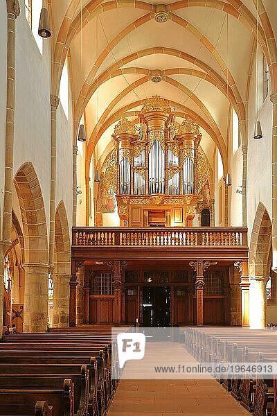 Innenansicht von gotischer Stiftskirche  Landau in der Pfalz  Rheinland-Pfalz  Deutschland  Europa
