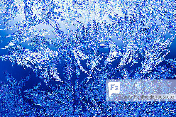 Ice crystals form on a window during sub zero temperatures on December 14  2008 in Fort Collins  Colorado.